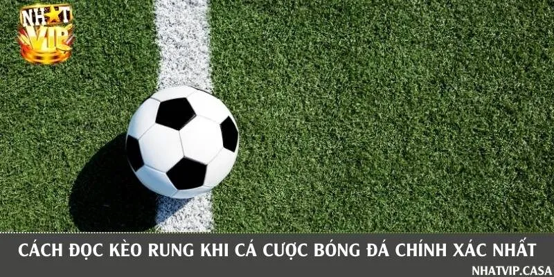 Hướng dẫn đọc các loại kèo rung phổ biến hiện nay