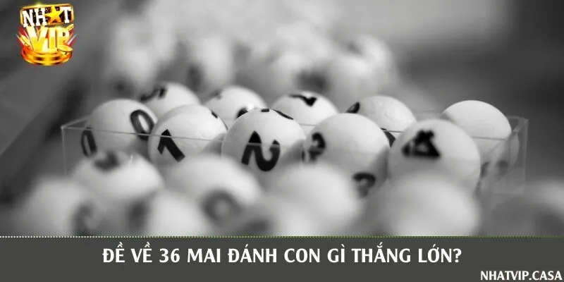 Giải mã hôm sau đánh con gì khi đề về con số 36