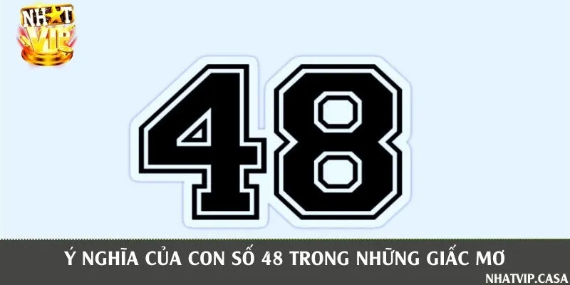 Mơ về số 48 có phải là điềm báo tốt?